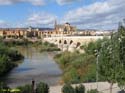 CORDOBA (101) Puente Romano