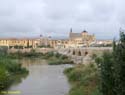 CORDOBA (104) Puente Romano