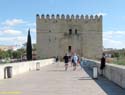 CORDOBA (118) Torre de la Calahorra