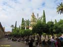 CORDOBA (167) Mezquita Catedral