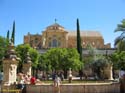 CORDOBA (173) Mezquita Catedral