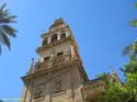 CORDOBA (174) Mezquita Catedral
