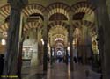 CORDOBA (186) Mezquita Catedral