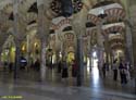 CORDOBA (249) Mezquita Catedral