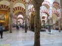 CORDOBA (252) Mezquita Catedral