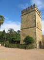 CORDOBA (289) Alcazar de los Reyes Cristianos