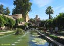 CORDOBA (306) Alcazar de los Reyes Cristianos 2008