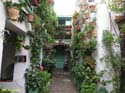 CORDOBA (394) Patio Calle San Basilio
