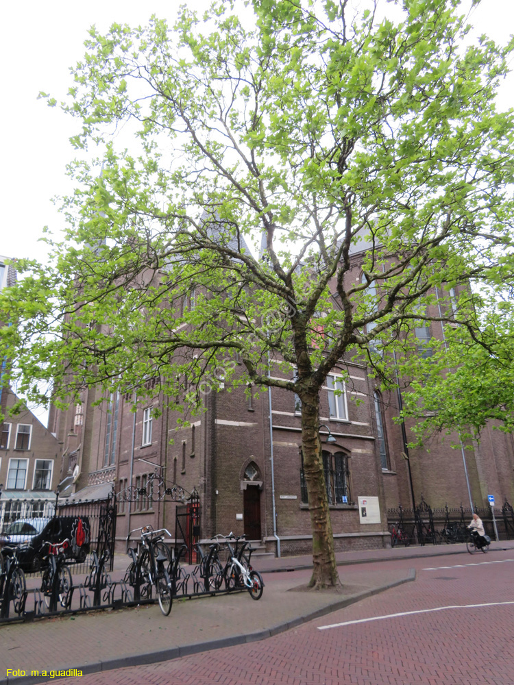 DELFT (115) Oude Kerk