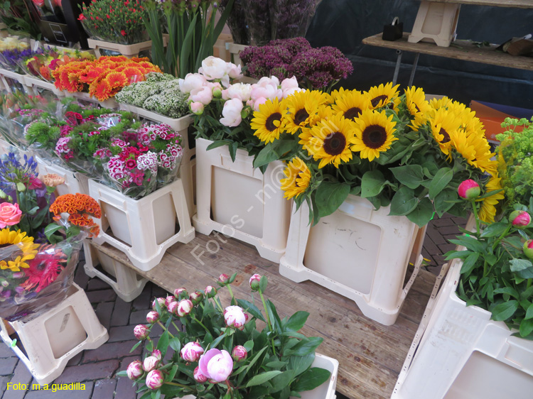 DELFT (234) Cl Burgwal mercado flores