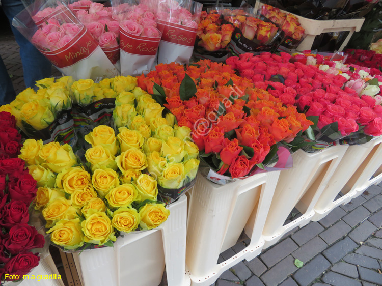 DELFT (237) Cl Burgwal mercado flores