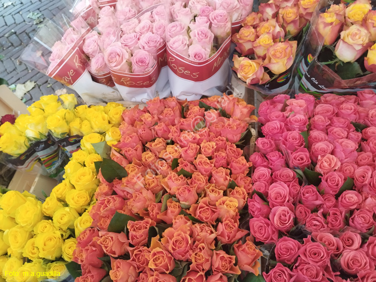DELFT (248) Cl Burgwal mercado flores