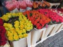 DELFT (237) Cl Burgwal mercado flores