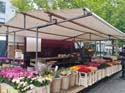 DELFT (240) Cl Burgwal mercado flores