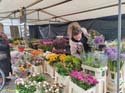 DELFT (241) Cl Burgwal mercado flores