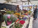 DELFT (242) Cl Burgwal mercado flores