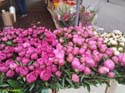 DELFT (246) Cl Burgwal mercado flores