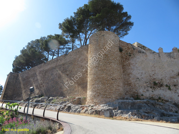 DENIA (150) Castillo