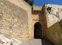 DENIA (120) Castillo