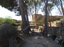 DENIA (132) Castillo