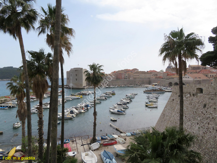 Dubrovnik (281) Puerto Viejo