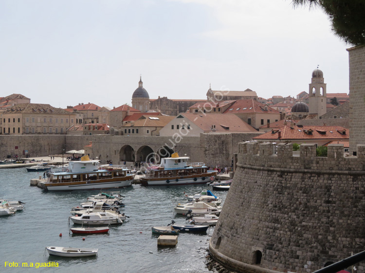 Dubrovnik (286) Puerto Viejo