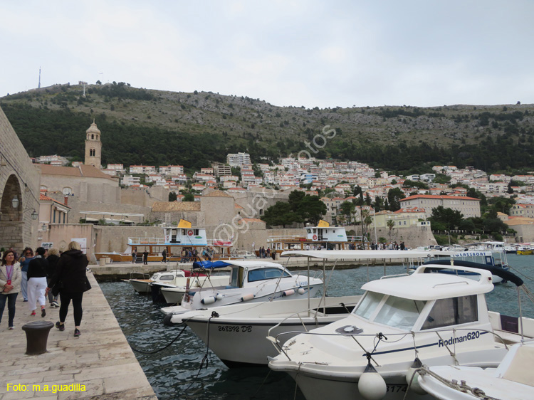 Dubrovnik (292) Puerto Viejo
