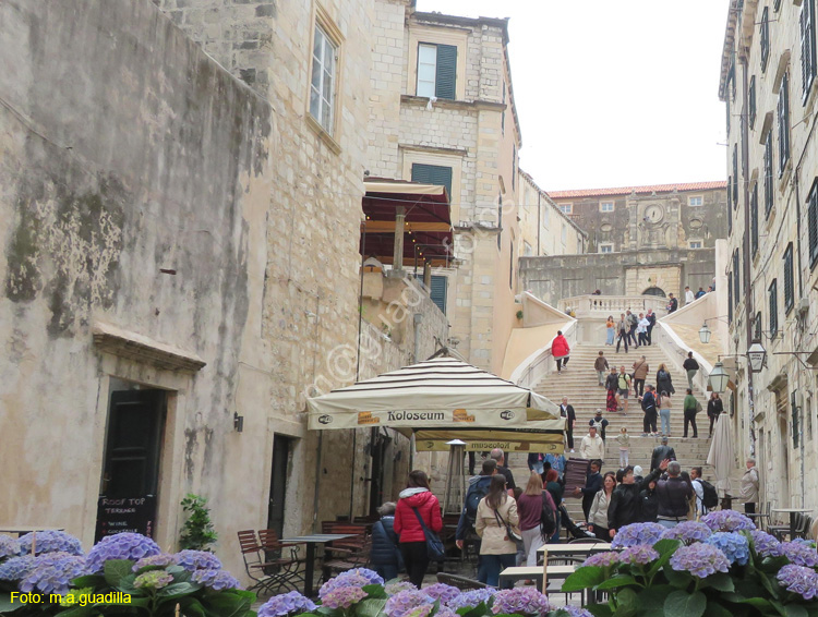 Dubrovnik (325) Escalera Jesuita