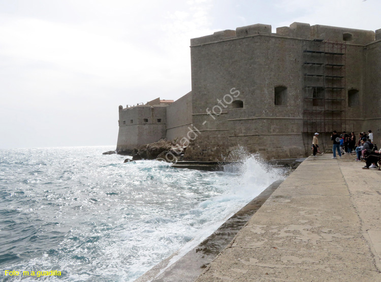 Dubrovnik (386) Muralla