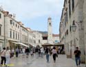 Dubrovnik (157) Stradun