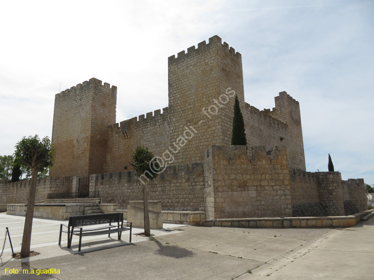 ENCINAS DE ESGUEVA (101) Castillo