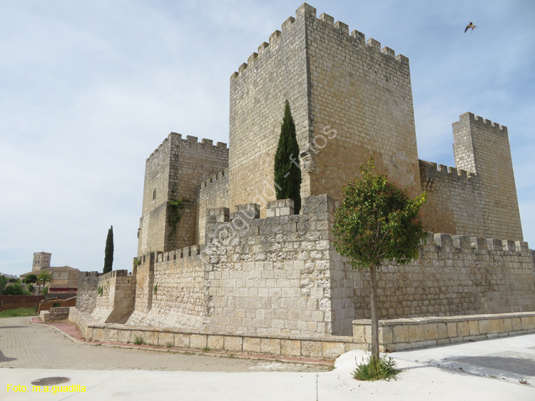 ENCINAS DE ESGUEVA (103) Castillo