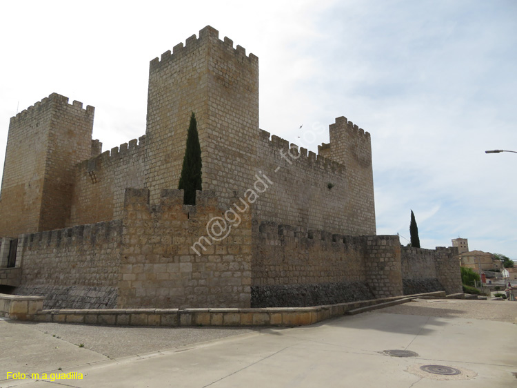 ENCINAS DE ESGUEVA (104) Castillo