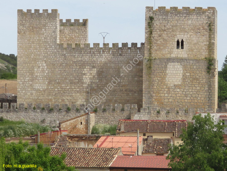 ENCINAS DE ESGUEVA (105) Castillo