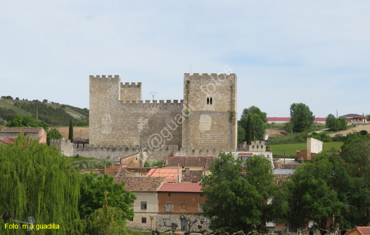 ENCINAS DE ESGUEVA (106) Castillo