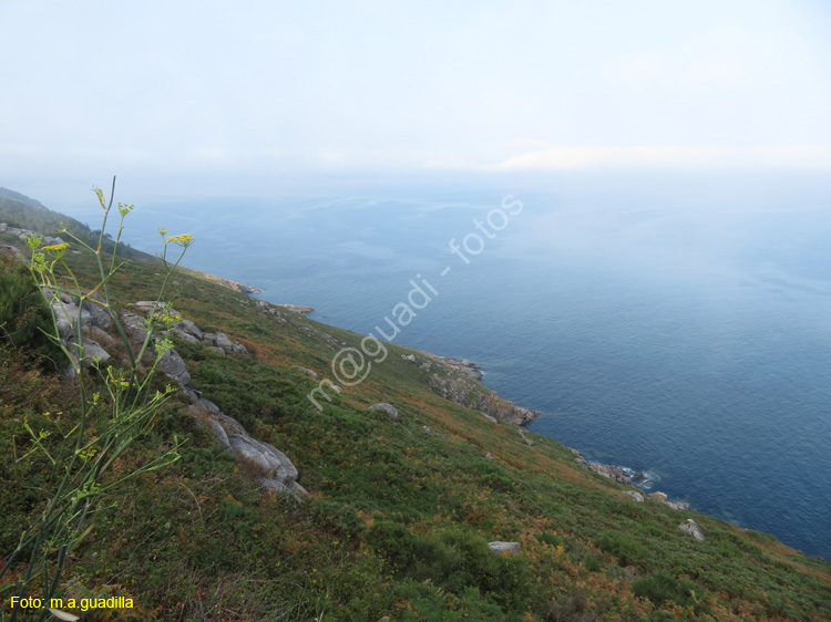 FINISTERRE (111)