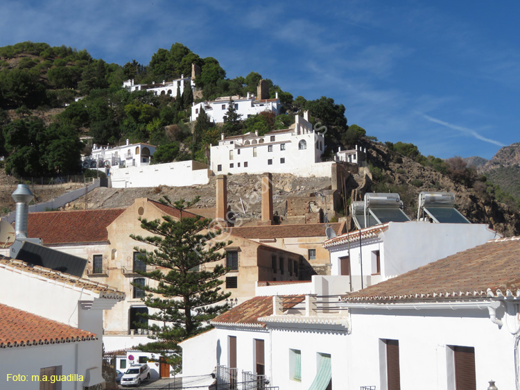 FRIGILIANA (113)