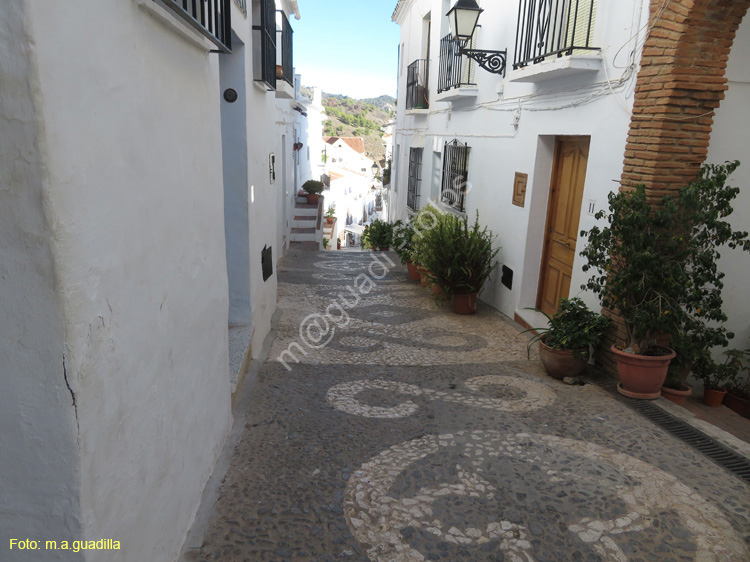 FRIGILIANA (126)