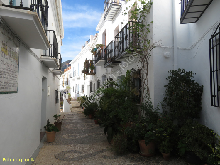 FRIGILIANA (136)