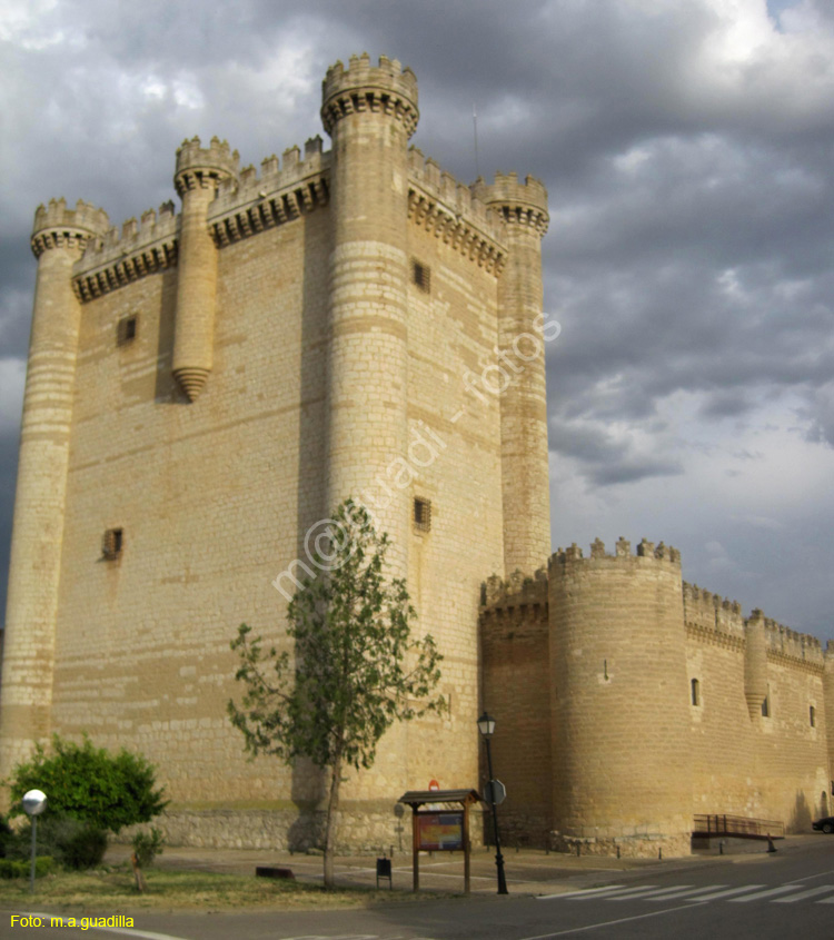 Castillo de Fuensaldaña (102)