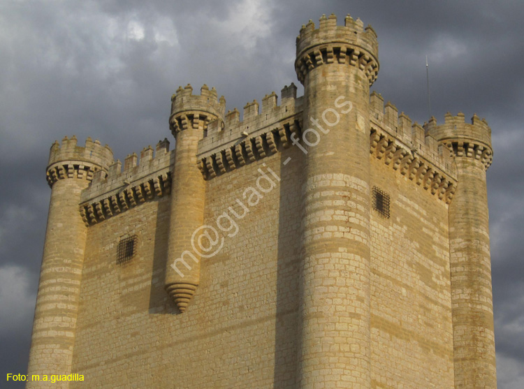 Castillo de Fuensaldaña (103)