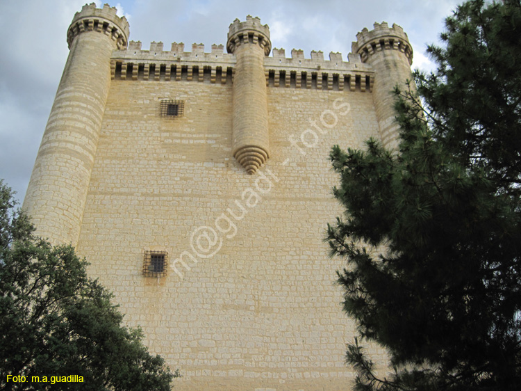 Castillo de Fuensaldaña (105)