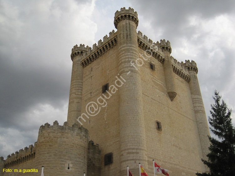 Castillo de Fuensaldaña (108)