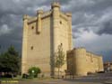 Castillo de Fuensaldaña (104)