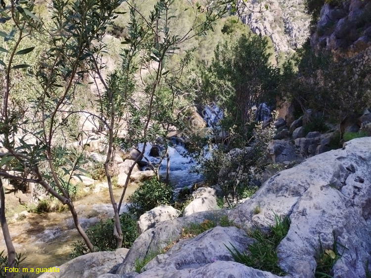FUENTES DEL ALGAR (136)