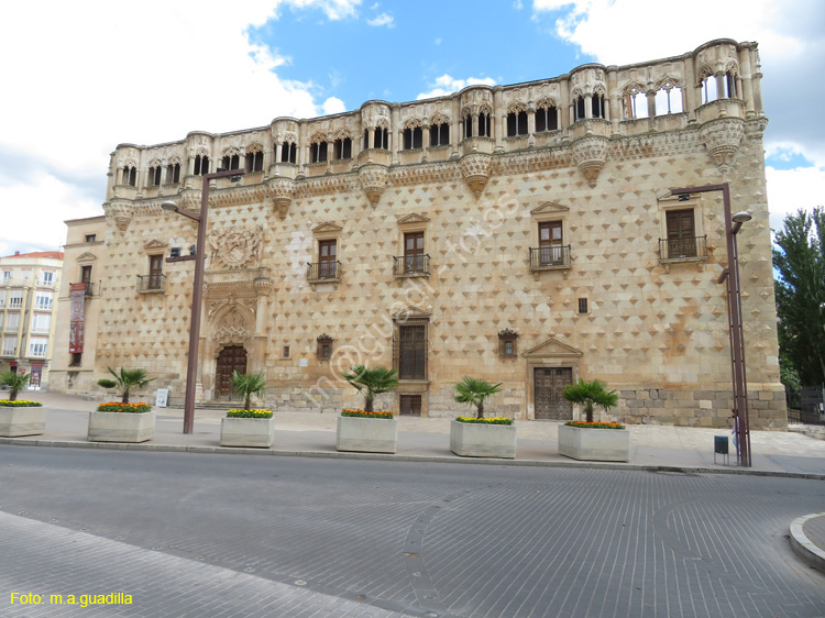 GUADALAJARA (106) Palacio del Infantado