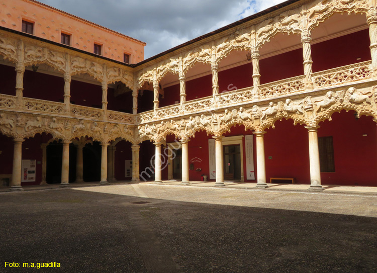 GUADALAJARA (113) Palacio del Infantado