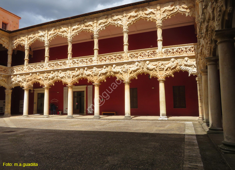 GUADALAJARA (114) Palacio del Infantado