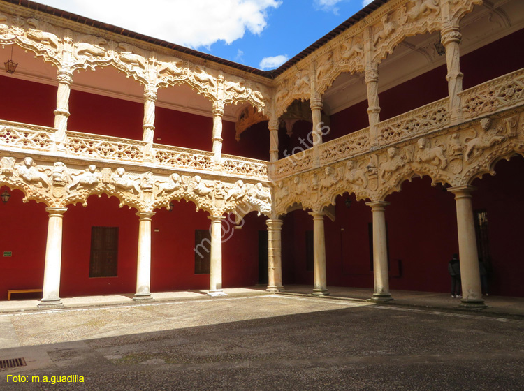 GUADALAJARA (115) Palacio del Infantado