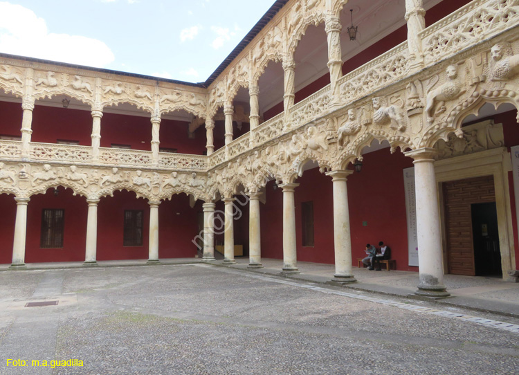 GUADALAJARA (130) Palacio del Infantado